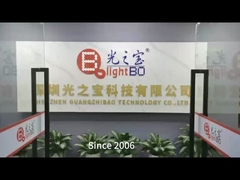 10 खंड एलईडी लाइट बार